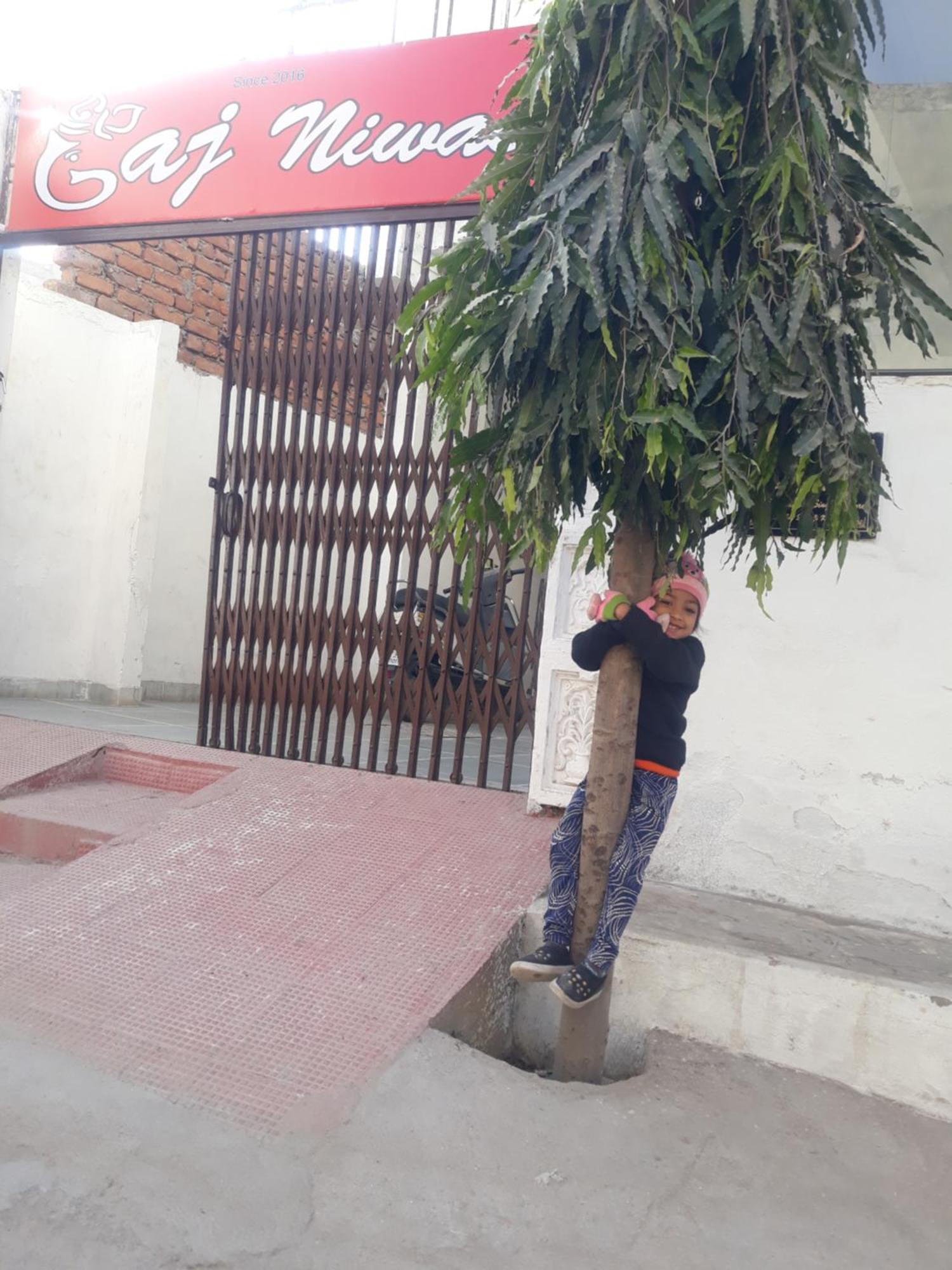 Gaj Niwas Hotel And Restaurant,Udaipur,Rajasthan Zewnętrze zdjęcie